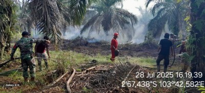 152 Kasus Karhutla Terjadi di Sumsel, Ogan…