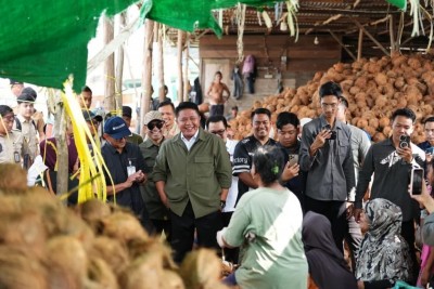 Dukung 'Sultan Muda' Ekspor Kelapa ke Asia,…
