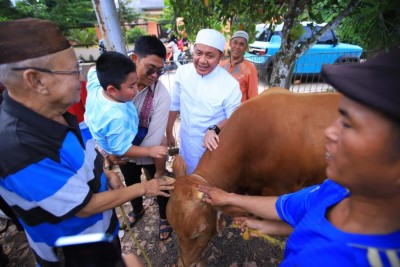 Gubernur Herman Deru Serahkan Hewan Kurban,…