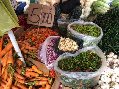 Harga Cabai di Palembang Turun Signifikan,…