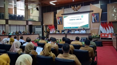 Pemprov Sumsel Dorong Pemekaran, Dua Wilayah…