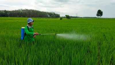 Petani Milenial OKI Ubah Sabut Kelapa Jadi…