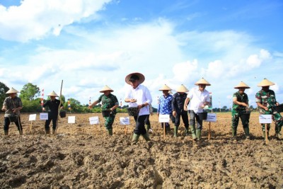 Sumsel Genjot Produksi Pangan, Banyuasin…