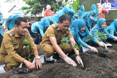 Tim Penggerak PKK OKI Tanam 250 Bibit Cabai